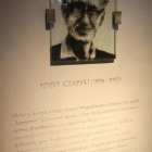 zdjęcie nr 31