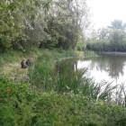 zdjęcie nr 8