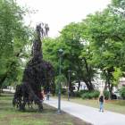 zdjęcie nr 29