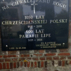 zdjęcie nr 11