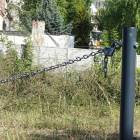 zdjęcie nr 7