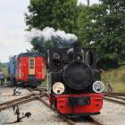 zdjęcie nr 35