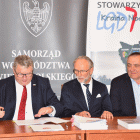 zdjęcie nr 14