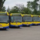 zdjęcie nr 12