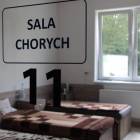 zdjęcie nr 9