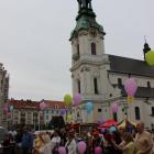 zdjęcie nr 10