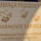 zdjęcie nr 14
