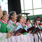 zdjęcie nr 50