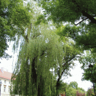 zdjęcie nr 74