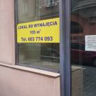 zdjęcie nr 12