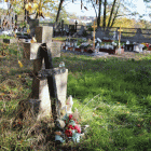 zdjęcie nr 26