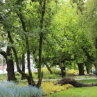 zdjęcie nr 50