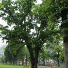 zdjęcie nr 30