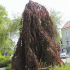 Fotka nr 5 z 89