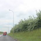 zdjęcie nr 23
