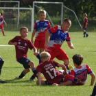zdjęcie nr 10