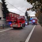 Fotka nr 5 z 6