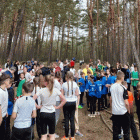 zdjęcie nr 10