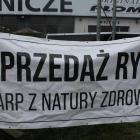 Fotka nr 4 z 6
