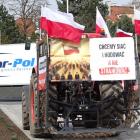 zdjęcie nr 17