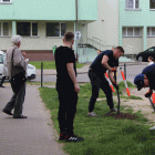 zdjęcie nr 8