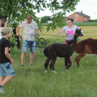 zdjęcie nr 36