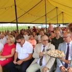 zdjęcie nr 25