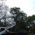 Fotka nr 3 z 11
