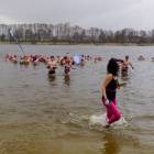 zdjęcie nr 21