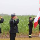 zdjęcie nr 8
