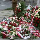 zdjęcie nr 48