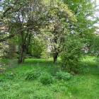 zdjęcie nr 38