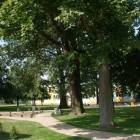 zdjęcie nr 8