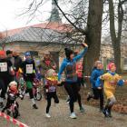 zdjęcie nr 13