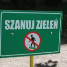 Fotka nr 1 z 5