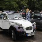 zdjęcie nr 86