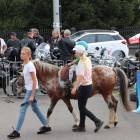 zdjęcie nr 53