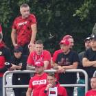 zdjęcie nr 146