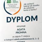 zdjęcie nr 8