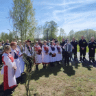 zdjęcie nr 15