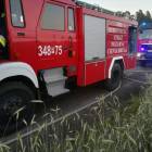 Fotka nr 5 z 6