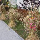 zdjęcie nr 85