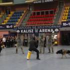 zdjęcie nr 116