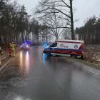 Fotka nr 2 z 7