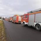 Fotka nr 2 z 3