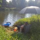 zdjęcie nr 49