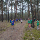 zdjęcie nr 26