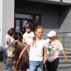 zdjęcie nr 37