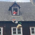 zdjęcie nr 15