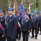 zdjęcie nr 15
